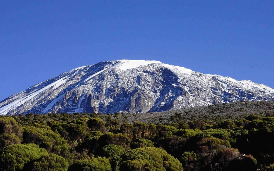 Kilimanjaro FAQ