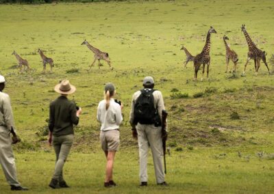 Walking safari in Arusha national park